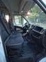 Peugeot Boxer Combi L2H2 7 plazas Blanco - thumbnail 11