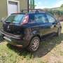 Fiat Punto Evo 5p 1.4 natural power Dynamic 70cv - thumbnail 3