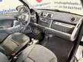 smart forTwo 0.8 cdi Pure 54cv PROBLEMI MOTORE Bianco - thumbnail 5