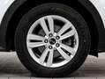Kia Sportage Sportage IV 2016 1.6 gdi Cool Navi 2wd 132cv my17 Blanc - thumbnail 7