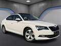 Skoda Superb 2,0 TDI 4x4 Style*Memory*Ambiente*Keyless*ACC* Weiß - thumbnail 6