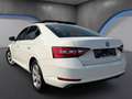 Skoda Superb 2,0 TDI 4x4 Style*Memory*Ambiente*Keyless*ACC* Weiß - thumbnail 3
