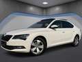 Skoda Superb 2,0 TDI 4x4 Style*Memory*Ambiente*Keyless*ACC* Weiß - thumbnail 2
