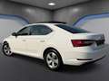 Skoda Superb 2,0 TDI 4x4 Style*Memory*Ambiente*Keyless*ACC* Weiß - thumbnail 4