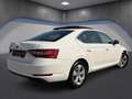 Skoda Superb 2,0 TDI 4x4 Style*Memory*Ambiente*Keyless*ACC* Weiß - thumbnail 8