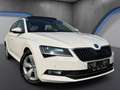 Skoda Superb 2,0 TDI 4x4 Style*Memory*Ambiente*Keyless*ACC* Weiß - thumbnail 5