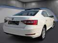 Skoda Superb 2,0 TDI 4x4 Style*Memory*Ambiente*Keyless*ACC* Weiß - thumbnail 7