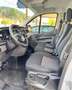 Ford Transit Custom Transit Custom Basis Kasten 2,0 L1H1 260 Weiß - thumbnail 12