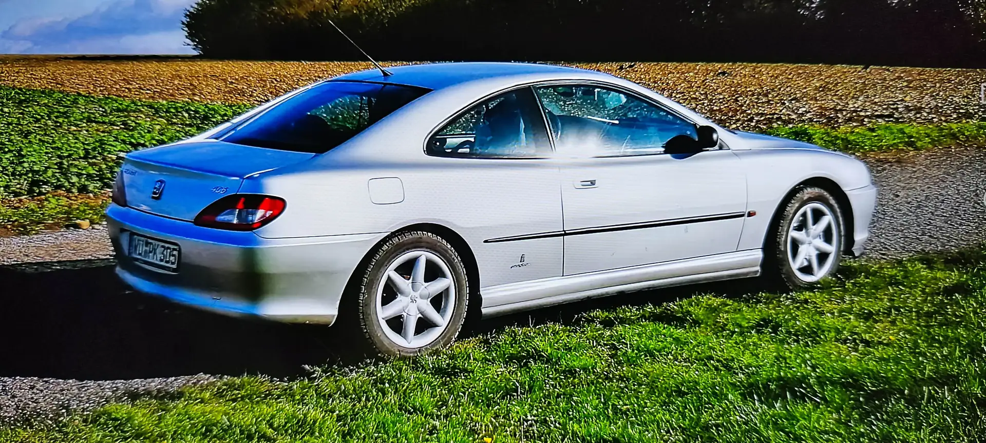 Peugeot 406 406 Coupe 3.0 V6 Plateado - 2