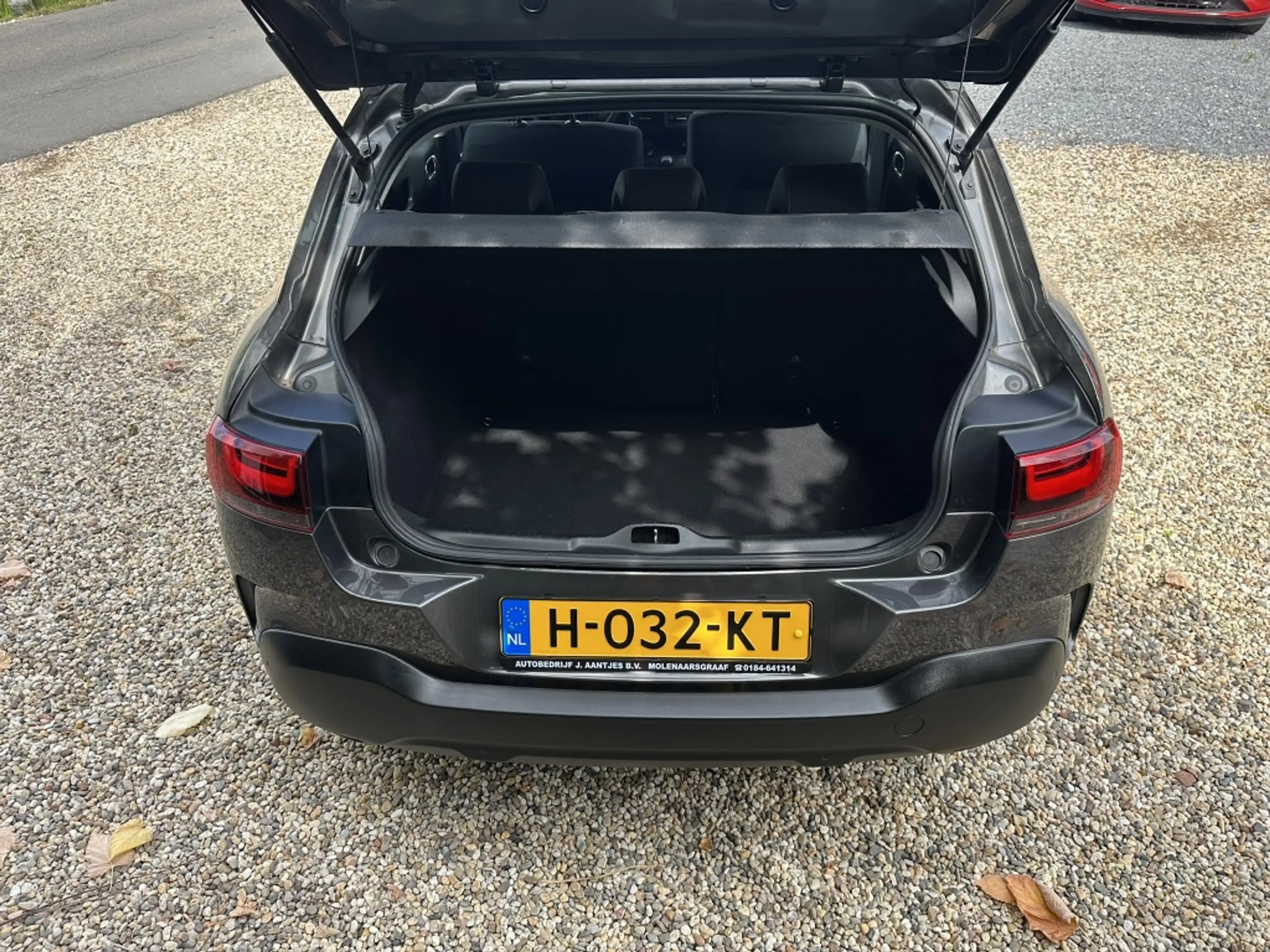 Citroen C4 Cactus 1.2 110PK Business Navi/Carplay/PDC — photo 21
