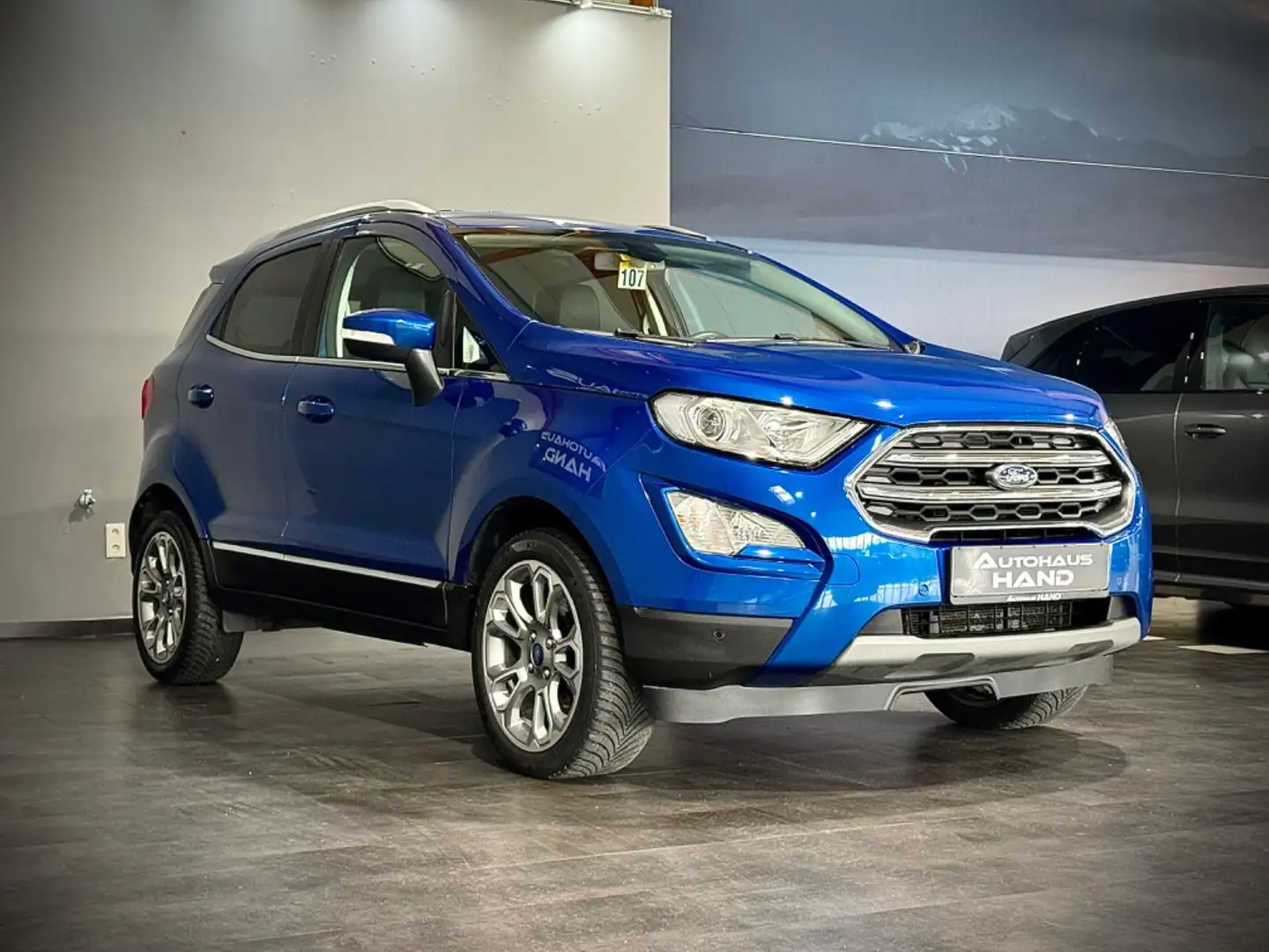 Ford EcoSport 1.0*TITANIUM*KAMERA*ALLWETTER*1.HAND* Blu/Azzurro - 2
