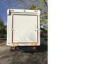 Iveco Daily 4 Pferde top Nutzlast Blanc - thumbnail 5