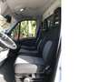 Iveco Daily 4 Pferde top Nutzlast Blanc - thumbnail 8
