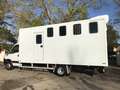 Iveco Daily 4 Pferde top Nutzlast Blanc - thumbnail 3