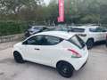 Lancia Ypsilon Ypsilon  1.2 Elefantino Blu s Weiß - thumbnail 4