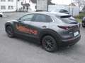 Mazda CX-30 Homura 2WD - thumbnail 7