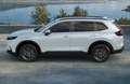 Honda CR-V e:HEV Elegance AWD|Jetzt probefahren White - thumbnail 3