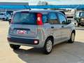 Fiat Panda Panda 1.0 hybrid s *5 POSTI+ SEDILE REGOLABILE Grigio - thumbnail 6