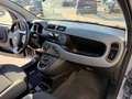 Fiat Panda Panda 1.0 hybrid s *5 POSTI+ SEDILE REGOLABILE Grigio - thumbnail 11