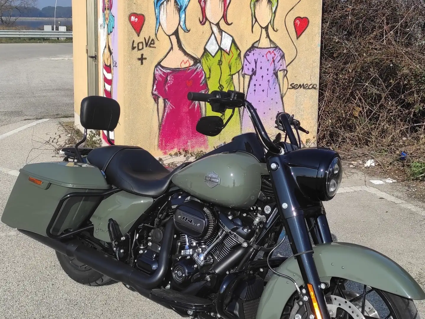 Harley-Davidson Road King special Verde - 1