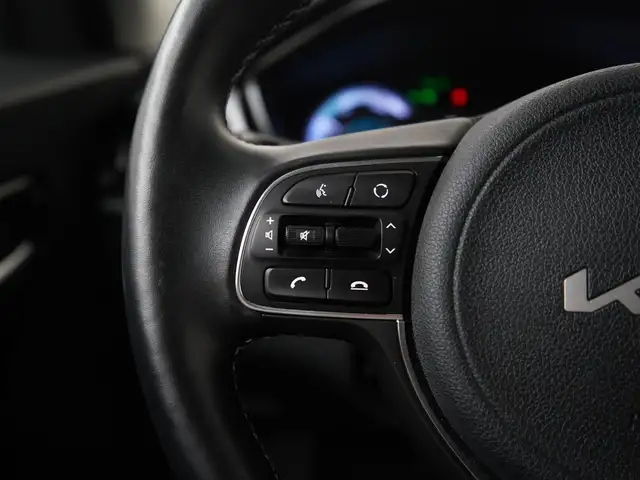 Kia Niro view 9