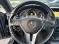 Mercedes-Benz E 250 E 250 CGI BlueEfficiency Negru - thumbnail 11