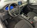 Ford Kuga Kuga 1.5 ecoblue Titanium Business 2wd 120cv auto Weiß - thumbnail 6