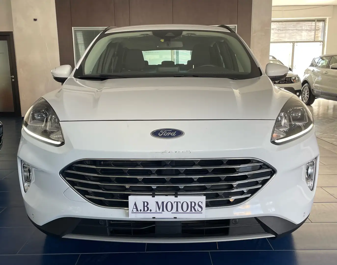 Ford Kuga Kuga 1.5 ecoblue Titanium Business 2wd 120cv auto Weiß - 2