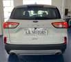 Ford Kuga Kuga 1.5 ecoblue Titanium Business 2wd 120cv auto Weiß - thumbnail 4