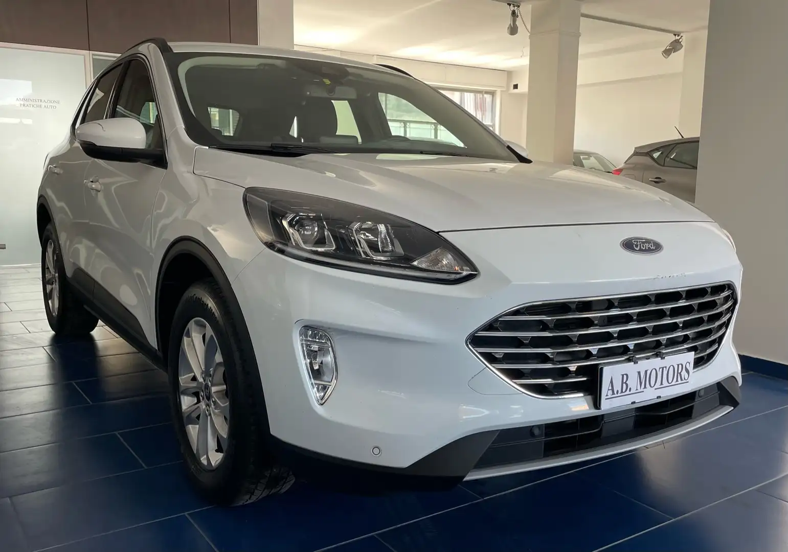 Ford Kuga Kuga 1.5 ecoblue Titanium Business 2wd 120cv auto Weiß - 1