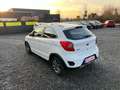 Ford Ka/Ka+ Active verschiedene Modelle vorrätig Weiß - thumbnail 5
