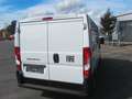 Fiat Ducato 30  L2H1   120,    PDC, 2 Airbag etc. Weiß - thumbnail 5
