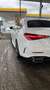 Mercedes-Benz C 180 C 180 AMG-Line *Innen und Aussen*Night Packet* Weiß - thumbnail 6