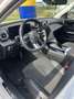 Mercedes-Benz C 180 C 180 AMG-Line *Innen und Aussen*Night Packet* Weiß - thumbnail 12
