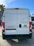 Fiat Ducato Furgone L2H2 2.2 140cv 35Q Wit - thumbnail 5