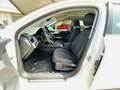 Audi A4 A4 Avant 40 TDI quattro S tronic Business Bianco - thumbnail 4