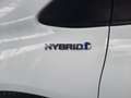 Toyota Yaris 1.5 Hybrid Active Blanco - thumbnail 16