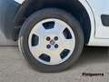 Fiat Fiorino Fiorino 1.3 MJT 95CV Cargo SX Bianco - thumbnail 7