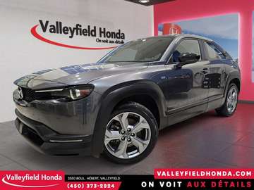 GS - BAS KM IMPECCABLE 100% ELECTRIQUE