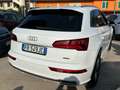 Audi Q5 35 2.0 tdi Business S-line quattro 163cv s-tronic White - thumbnail 4