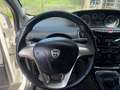 Lancia Ypsilon 1.2 8v Gold GARANZIA 12 MESI Bianco - thumbnail 15