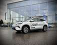 BYD Atto 3 EVO Excellence AWD 330KW - WOW VAKTION Weiß - thumbnail 3