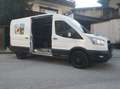 Ford Transit Transit Kasten 2,0 EcoBlue AWD L3H2 350 Trail Trail Weiß - thumbnail 2