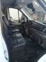 Ford Transit Transit Kasten 2,0 EcoBlue AWD L3H2 350 Trail Trail Weiß - thumbnail 10