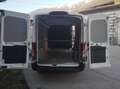Ford Transit Transit Kasten 2,0 EcoBlue AWD L3H2 350 Trail Trail Weiß - thumbnail 5