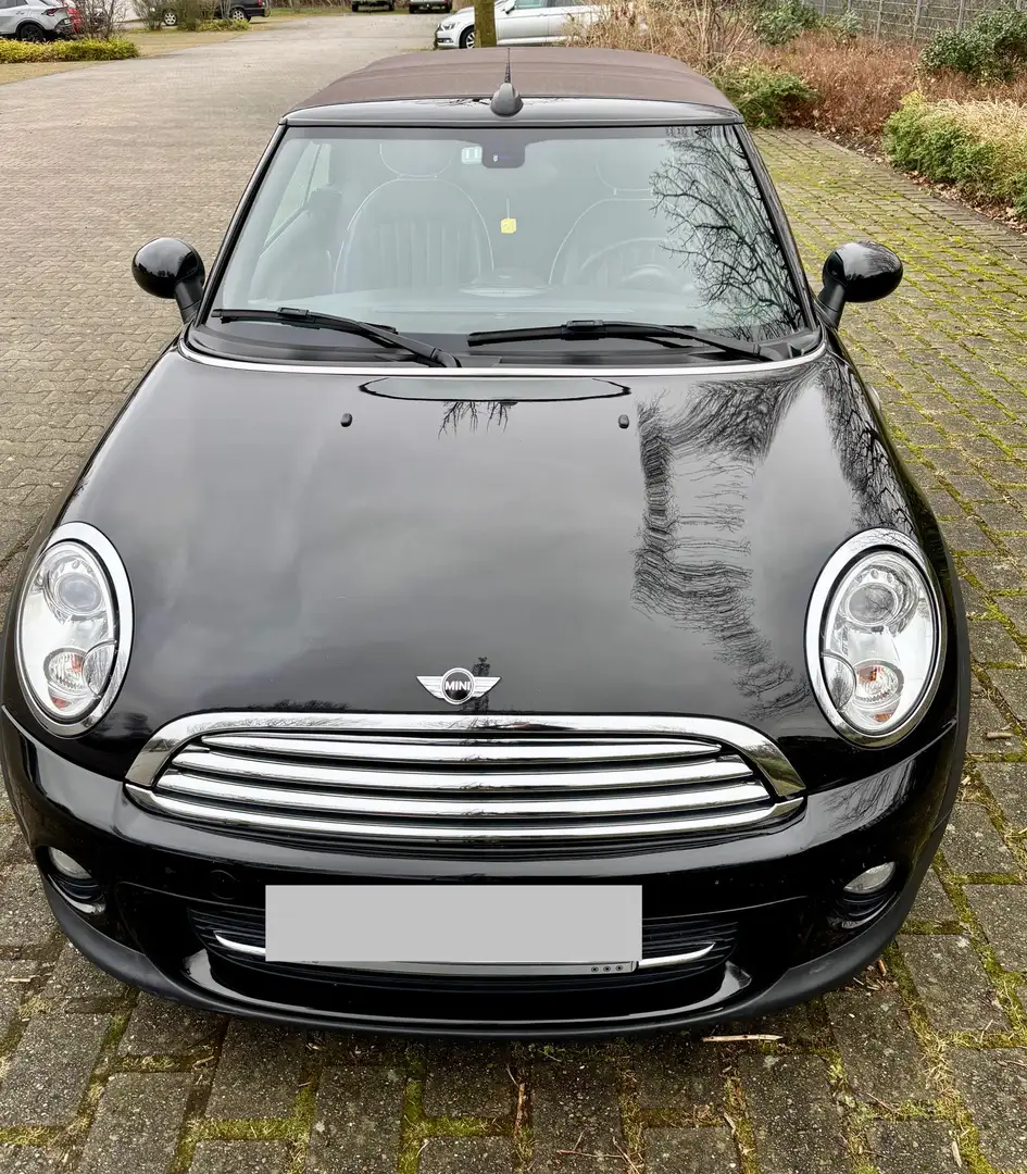 MINI Cooper Cabrio Cooper Braun - 1