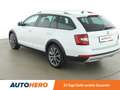 Skoda Octavia 2.0 TDI Scout 4x4 Weiß - thumbnail 4