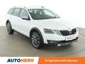Skoda Octavia 2.0 TDI Scout 4x4 Weiß - thumbnail 8