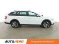 Skoda Octavia 2.0 TDI Scout 4x4 Weiß - thumbnail 7