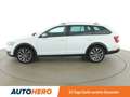 Skoda Octavia 2.0 TDI Scout 4x4 Weiß - thumbnail 3